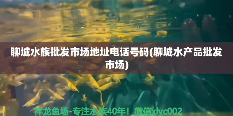 陜西聊城水族批發(fā)市場地址電話號碼(聊城水產(chǎn)品批發(fā)市場)