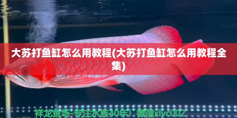 廬山大蘇打魚(yú)缸怎么用教程(大蘇打魚(yú)缸怎么用教程全集)