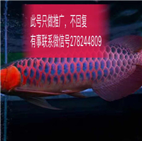 網(wǎng)友昵稱：楊凌魚缸定做