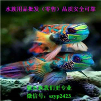 網(wǎng)友昵稱：楊凌魚缸定做