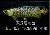 用戶昵稱：楊凌魚缸批發(fā)市場