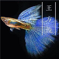 用戶昵稱(chēng)：楊凌魚(yú)缸批發(fā)市場(chǎng)