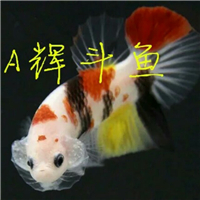 網(wǎng)友昵稱：楊凌魚缸批發(fā)市場(chǎng)