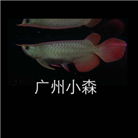 用戶昵稱：楊凌魚缸批發(fā)市場(chǎng)