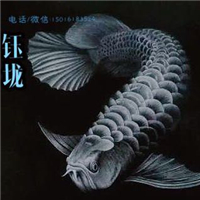 網友昵稱：大慶龍魚