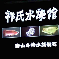 網友昵稱：保定水族批發(fā)市場