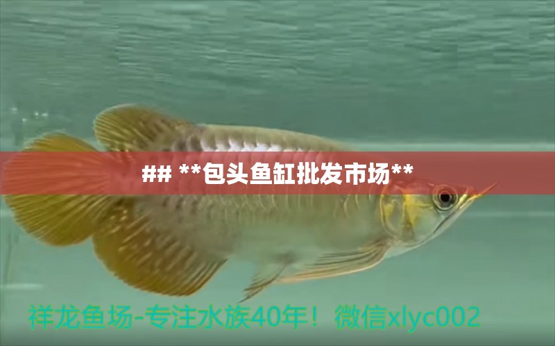 ## **包頭魚缸批發(fā)市場**