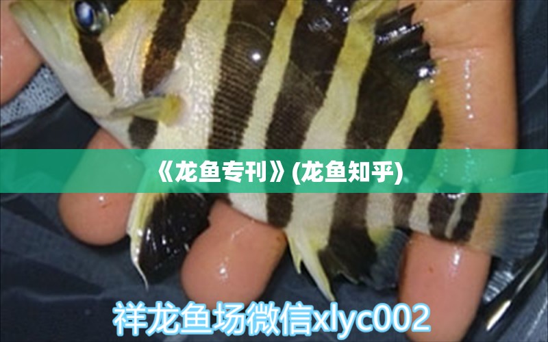 《龍魚?？?龍魚知乎) 2024第28屆中國(guó)國(guó)際寵物水族展覽會(huì)CIPS（長(zhǎng)城寵物展2024 CIPS） 第1張