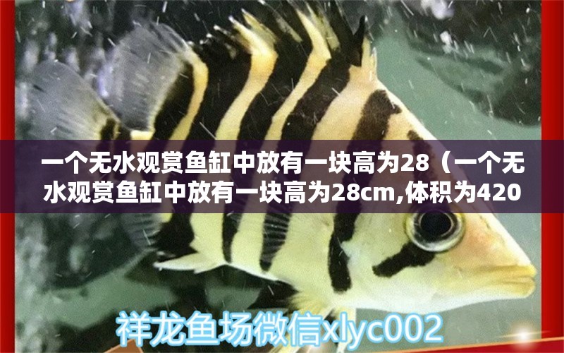 一個(gè)無水觀賞魚缸中放有一塊高為28（一個(gè)無水觀賞魚缸中放有一塊高為28cm,體積為4200）