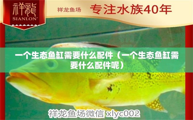 一個(gè)生態(tài)魚缸需要什么配件（一個(gè)生態(tài)魚缸需要什么配件呢） 祥龍水族醫(yī)院