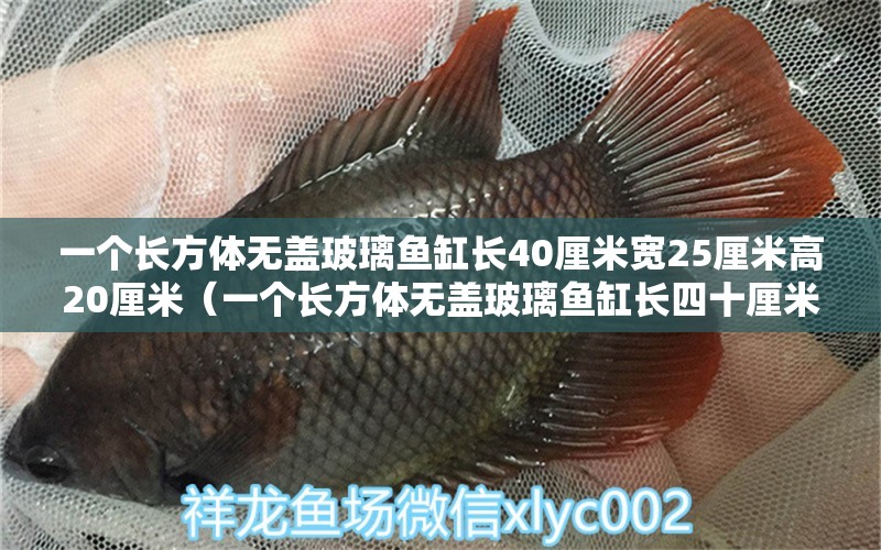 一個長方體無蓋玻璃魚缸長40厘米寬25厘米高20厘米（一個長方體無蓋玻璃魚缸長四十厘米寬二十）