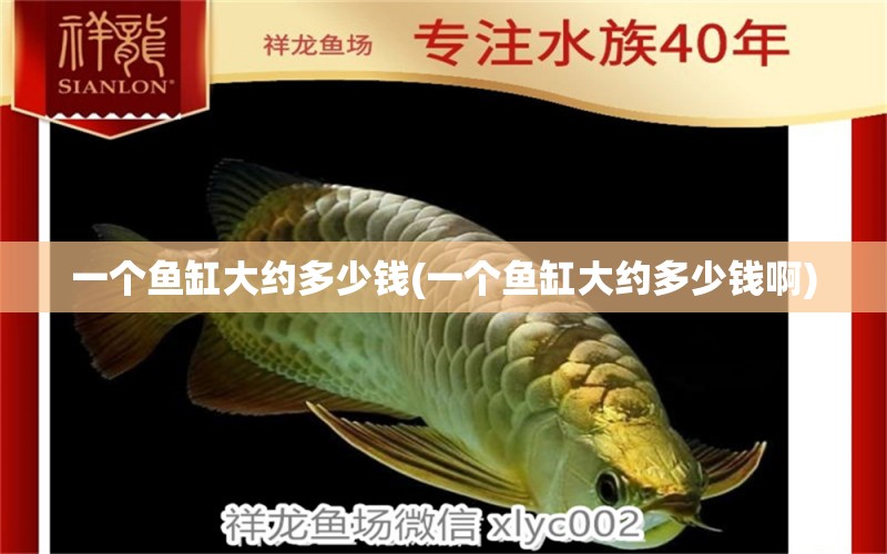 一個(gè)魚缸大約多少錢(一個(gè)魚缸大約多少錢啊)