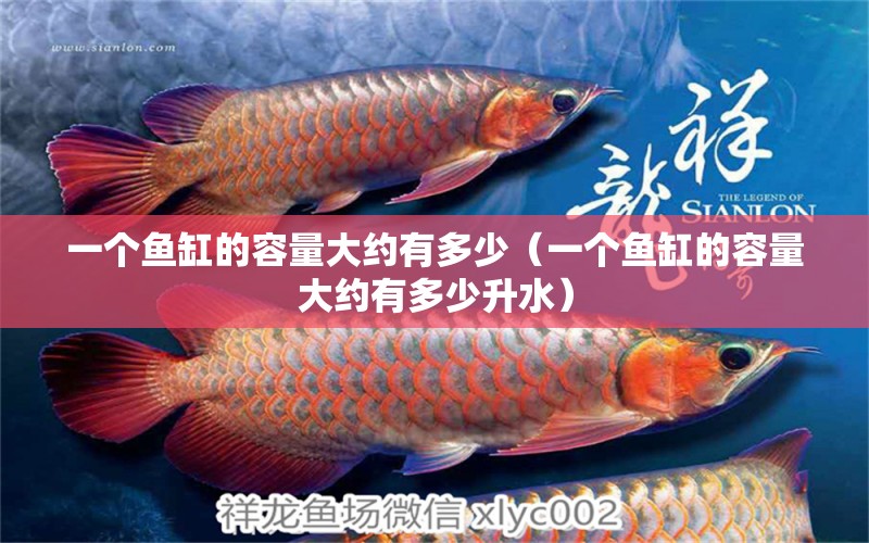 一個魚缸的容量大約有多少（一個魚缸的容量大約有多少升水） 其他品牌魚缸