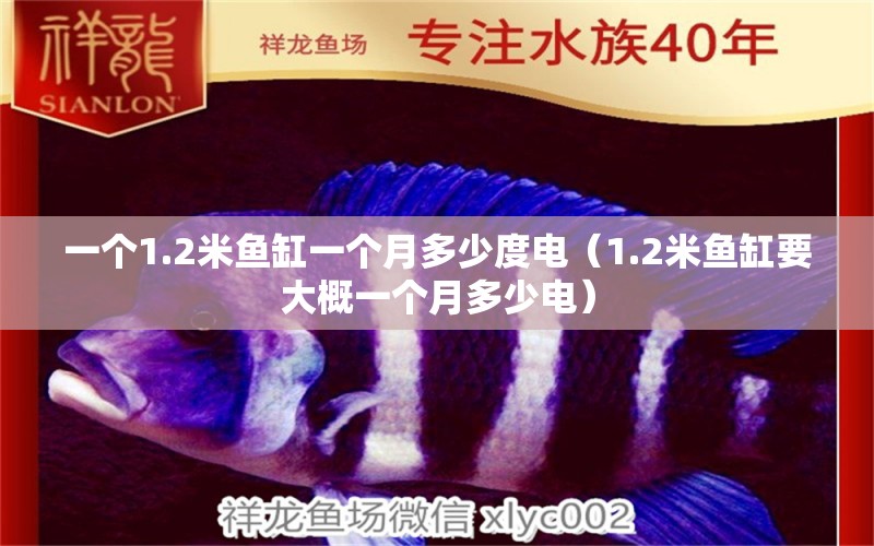 一個1.2米魚缸一個月多少度電（1.2米魚缸要大概一個月多少電） 魚缸百科