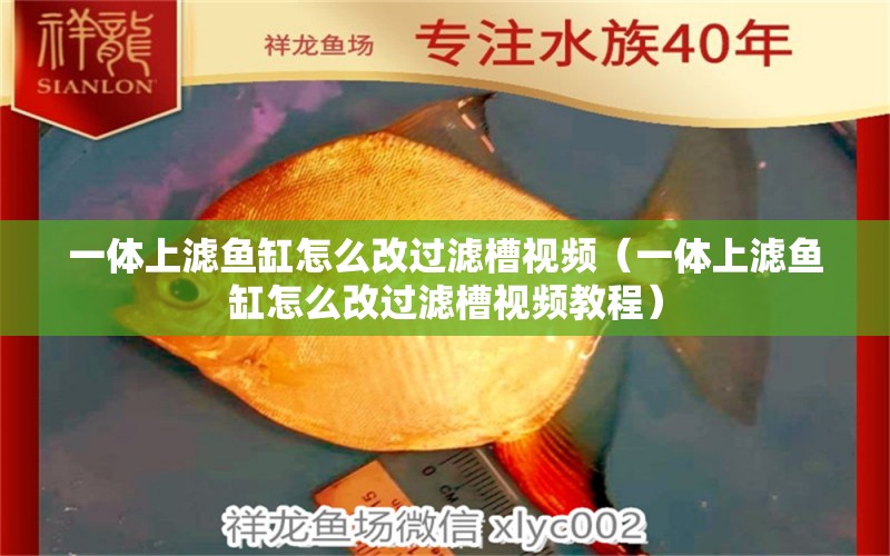 一體上濾魚(yú)缸怎么改過(guò)濾槽視頻（一體上濾魚(yú)缸怎么改過(guò)濾槽視頻教程）