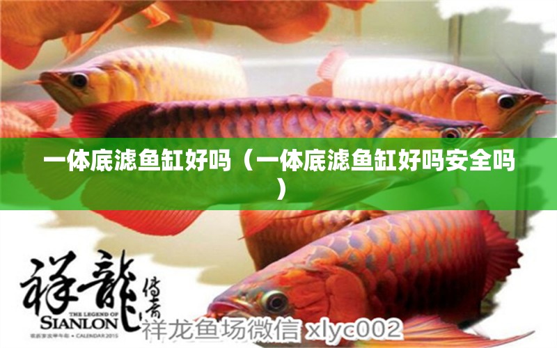 一體底濾魚缸好嗎（一體底濾魚缸好嗎安全嗎）