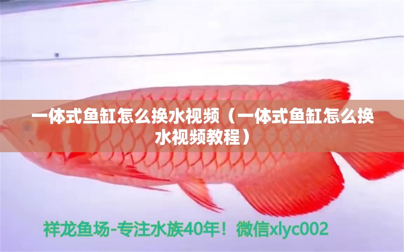 一體式魚缸怎么換水視頻（一體式魚缸怎么換水視頻教程） 祥龍水族醫(yī)院