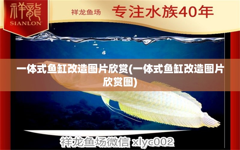 一體式魚缸改造圖片欣賞(一體式魚缸改造圖片欣賞圖) 觀賞魚