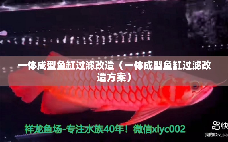 一體成型魚缸過濾改造（一體成型魚缸過濾改造方案） 祥龍水族醫(yī)院