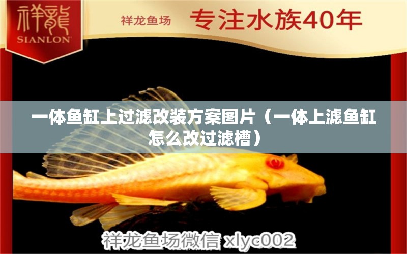 一體魚缸上過濾改裝方案圖片（一體上濾魚缸怎么改過濾槽） 斑馬狗頭魚