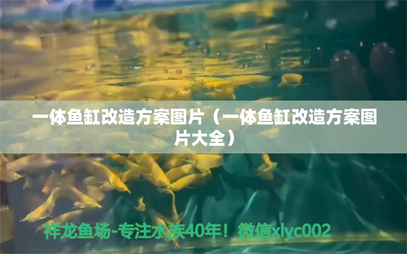 一體魚缸改造方案圖片（一體魚缸改造方案圖片大全）