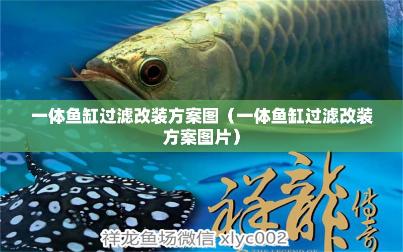 一體魚缸過濾改裝方案圖（一體魚缸過濾改裝方案圖片）