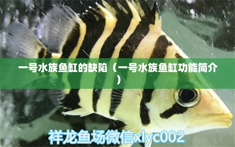 一號(hào)水族魚缸的缺陷（一號(hào)水族魚缸功能簡(jiǎn)介）