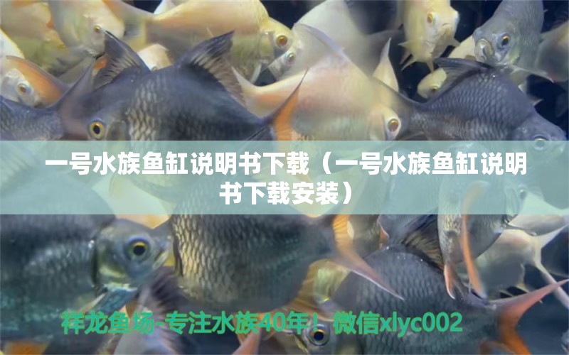 一號水族魚缸說明書下載（一號水族魚缸說明書下載安裝）