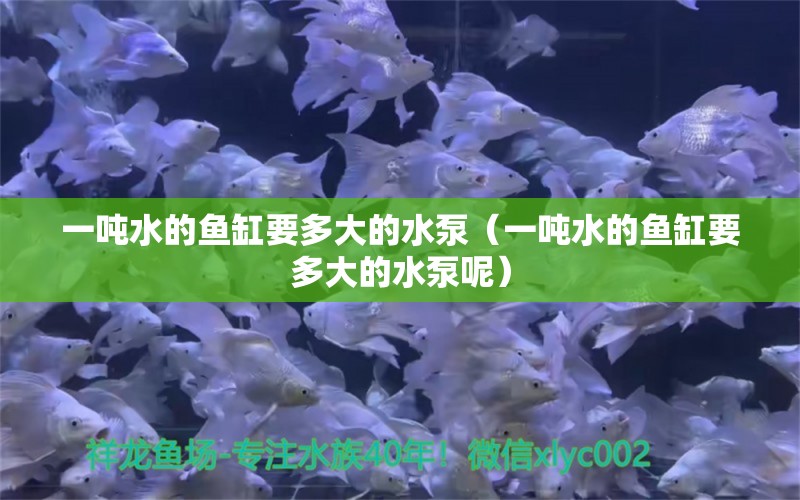 一噸水的魚缸要多大的水泵（一噸水的魚缸要多大的水泵呢）