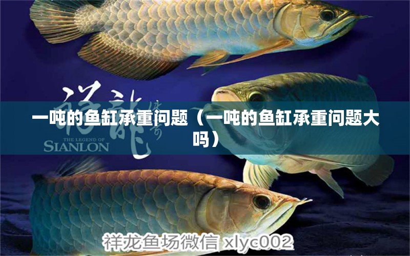 一噸的魚缸承重問題（一噸的魚缸承重問題大嗎） 其他品牌魚缸