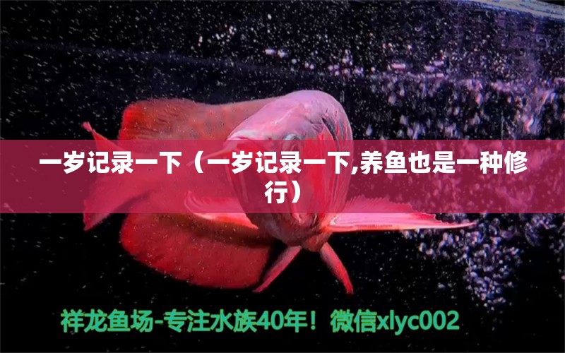 一歲記錄一下（一歲記錄一下,養(yǎng)魚也是一種修行） 觀賞魚論壇 第4張