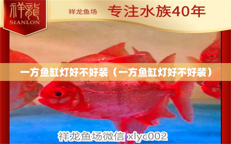 一方魚缸燈好不好裝（一方魚缸燈好不好裝）