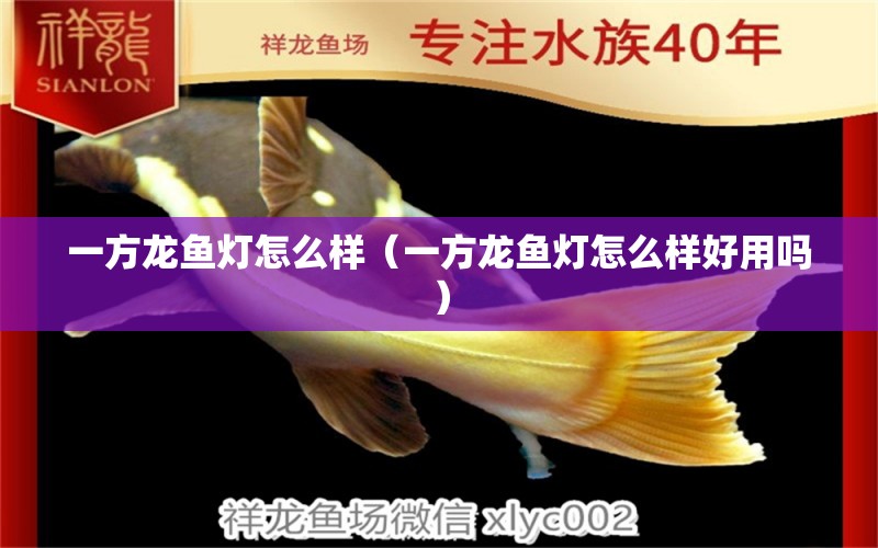 一方龍魚燈怎么樣（一方龍魚燈怎么樣好用嗎）