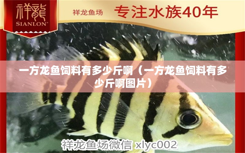 一方龍魚飼料有多少斤啊（一方龍魚飼料有多少斤啊圖片）