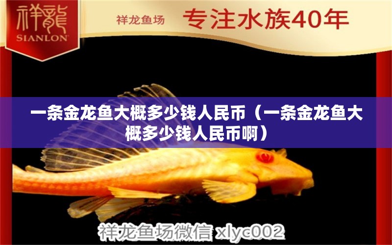 一條金龍魚(yú)大概多少錢(qián)人民幣（一條金龍魚(yú)大概多少錢(qián)人民幣?。?祥龍水族醫(yī)院