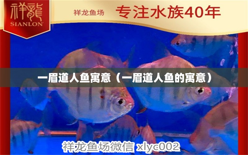 一眉道人魚寓意（一眉道人魚的寓意） 一眉道人魚