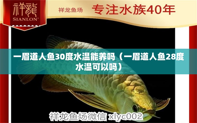 一眉道人魚(yú)30度水溫能養(yǎng)嗎（一眉道人魚(yú)28度水溫可以嗎） 一眉道人魚(yú)