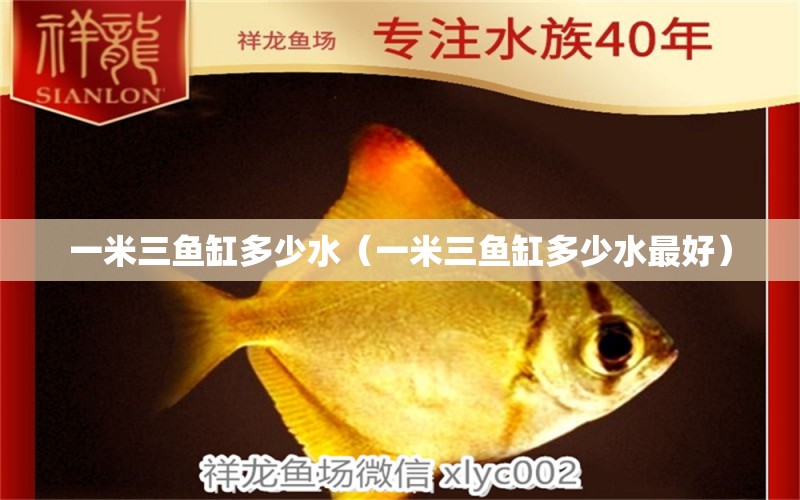 一米三魚缸多少水（一米三魚缸多少水最好）