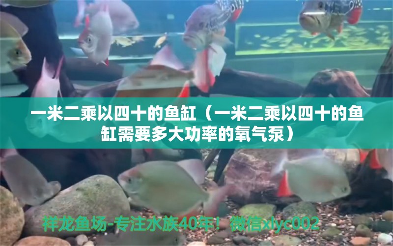 一米二乘以四十的魚缸（一米二乘以四十的魚缸需要多大功率的氧氣泵） 其他品牌魚缸