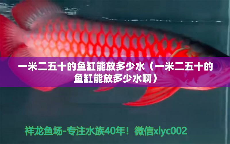 一米二五十的魚(yú)缸能放多少水（一米二五十的魚(yú)缸能放多少水啊）