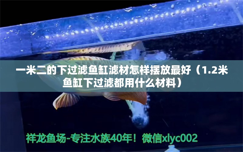 一米二的下過濾魚缸濾材怎樣擺放最好（1.2米魚缸下過濾都用什么材料）