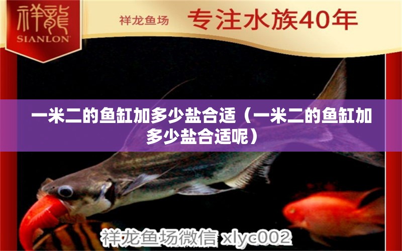 一米二的魚缸加多少鹽合適（一米二的魚缸加多少鹽合適呢）