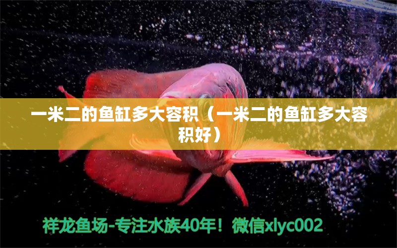 一米二的魚缸多大容積（一米二的魚缸多大容積好） 其他品牌魚缸