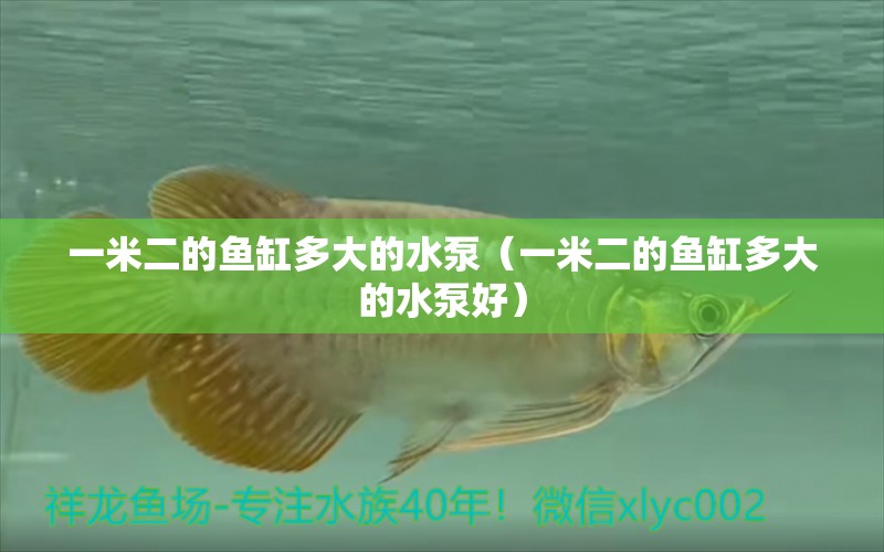 一米二的魚缸多大的水泵（一米二的魚缸多大的水泵好）