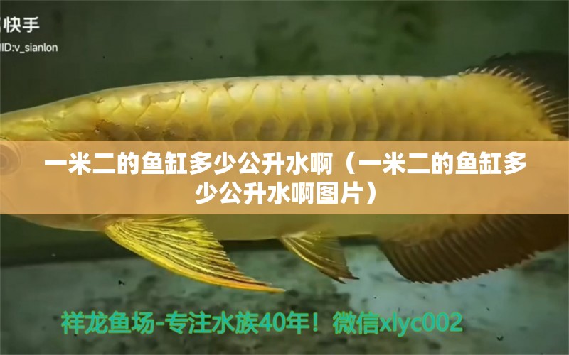 一米二的魚缸多少公升水啊（一米二的魚缸多少公升水啊圖片） 魚缸百科