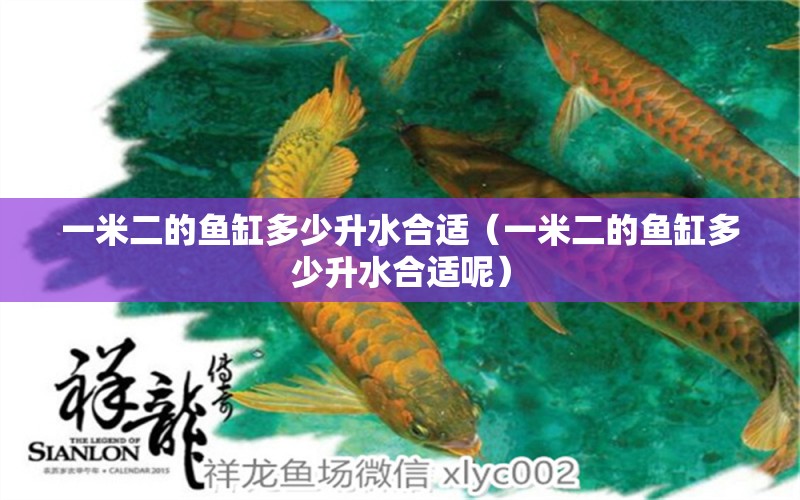 一米二的魚缸多少升水合適（一米二的魚缸多少升水合適呢） 魚缸百科