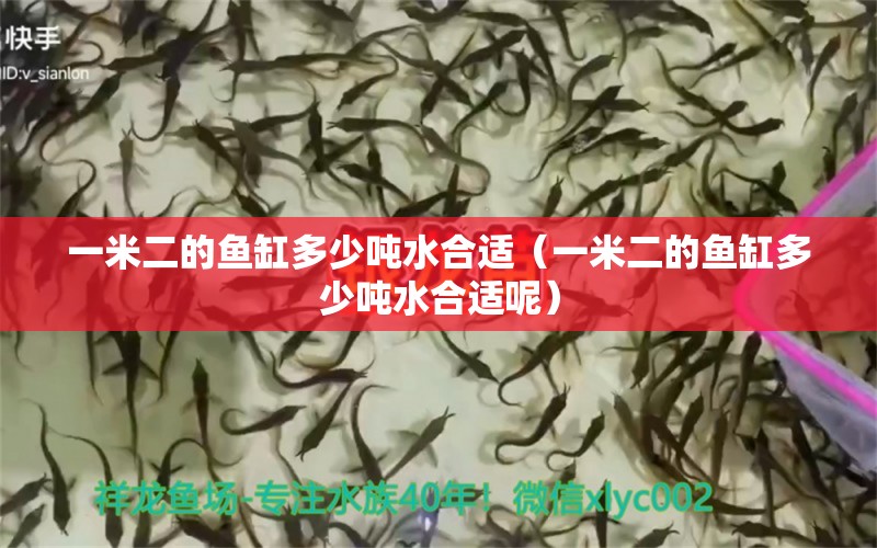 一米二的魚缸多少噸水合適（一米二的魚缸多少噸水合適呢）