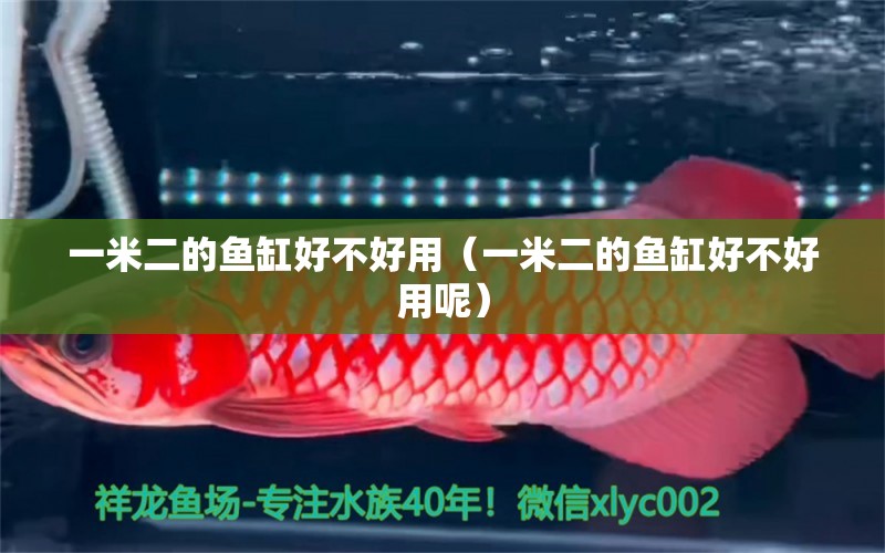 一米二的魚缸好不好用（一米二的魚缸好不好用呢） 魚缸百科