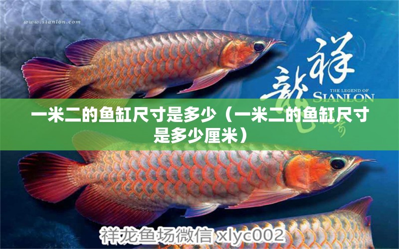 一米二的魚(yú)缸尺寸是多少（一米二的魚(yú)缸尺寸是多少厘米）