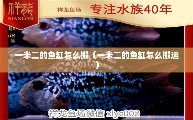 一米二的魚缸怎么搬（一米二的魚缸怎么搬運） 其他品牌魚缸